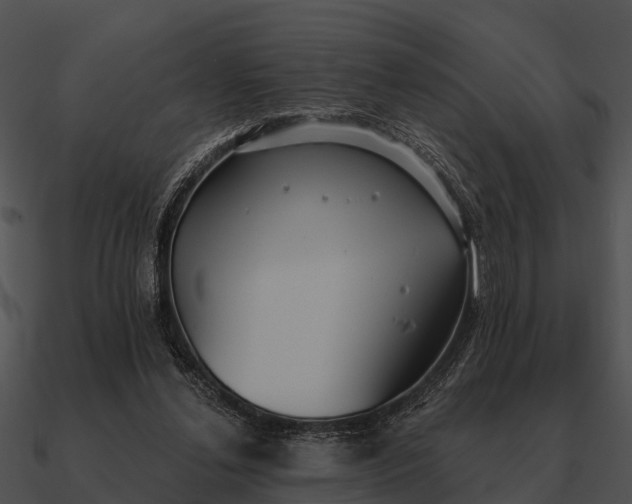 X0000090710252200708031439