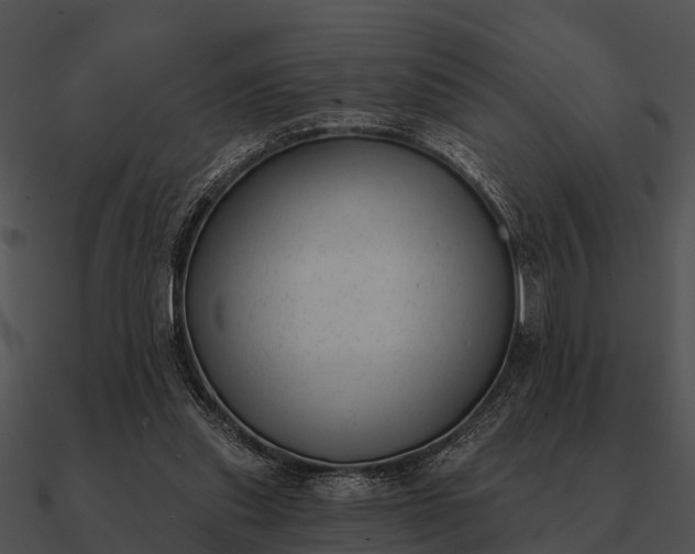 X0000090710253200708031439