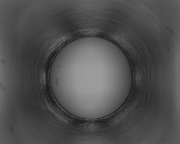 X0000090710254200708031439