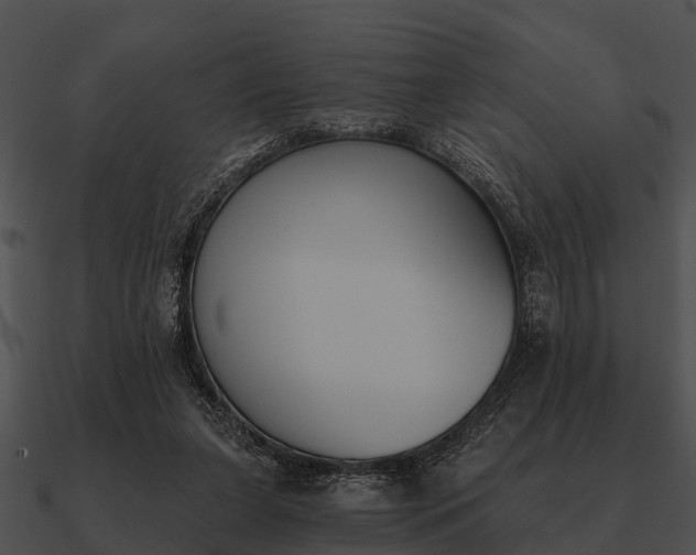 X0000090710255200708031439