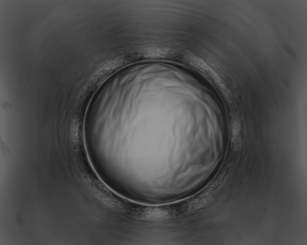 X0000090710257200708031439