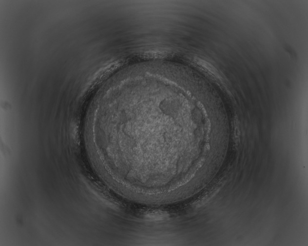 X0000090710258200708031439