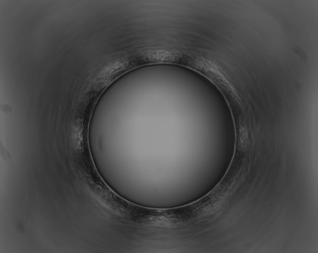 X0000090710259200708031439