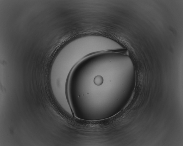 X0000090710260200708031439