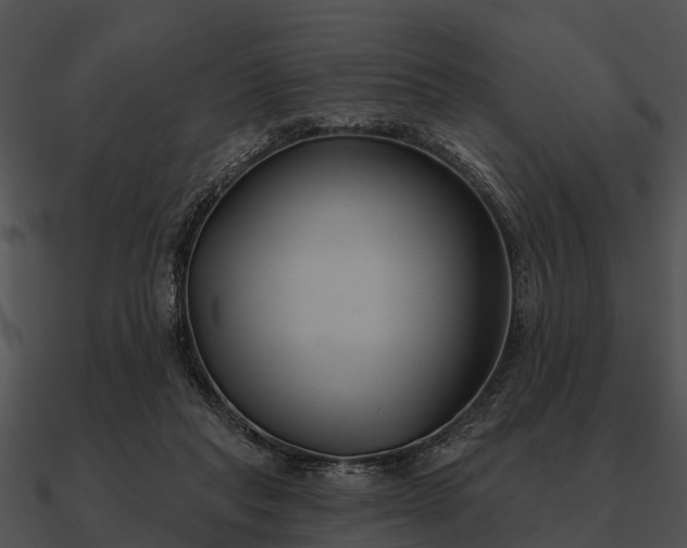 X0000090710261200708031439