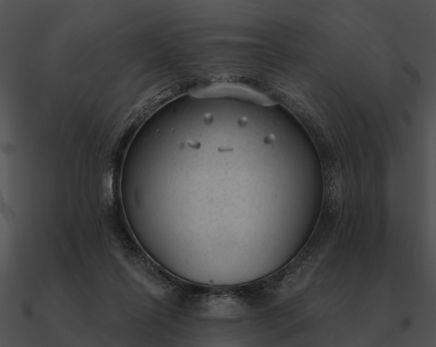 X0000090710262200708031439