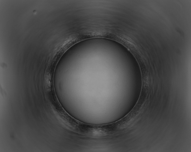 X0000090710264200708031439