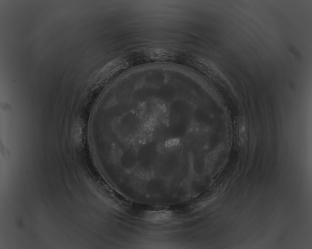 X0000090710266200708031439