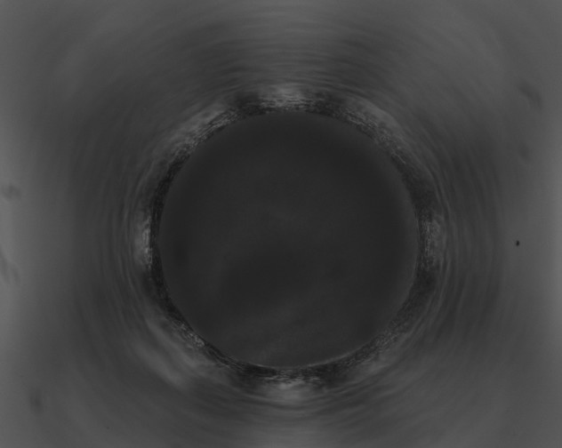 X0000090710267200708031439