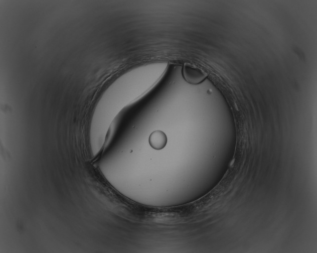 X0000090710268200708031439