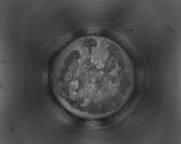 X0000090710269200708031439