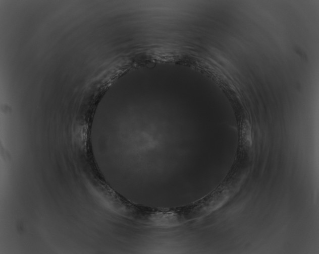 X0000090710271200708031439