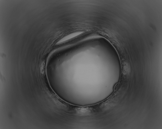 X0000090710273200708031439