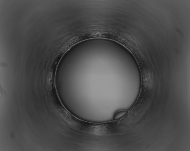 X0000090710275200708031439