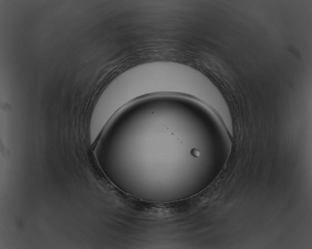 X0000090710276200708031439