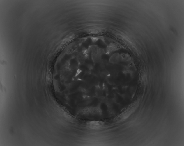 X0000090710277200708031439