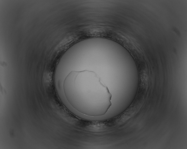 X0000090710278200708031439