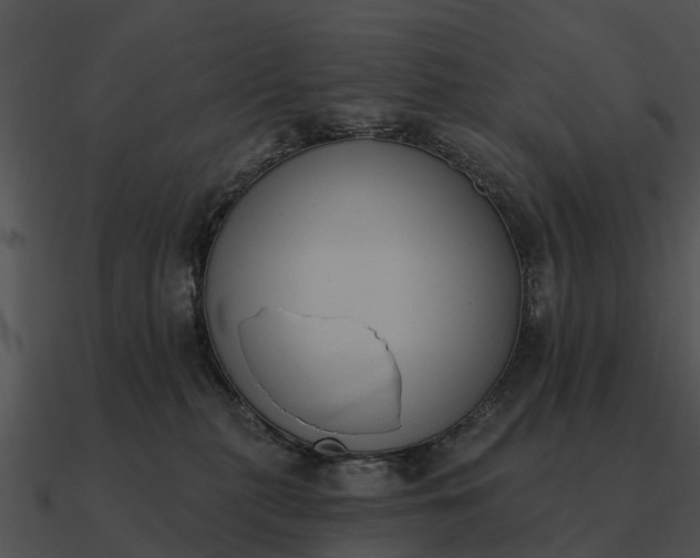 X0000090710279200708031439