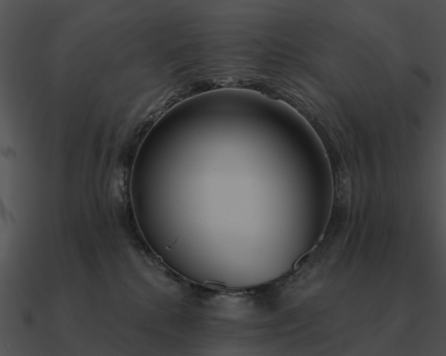 X0000090710280200708031439