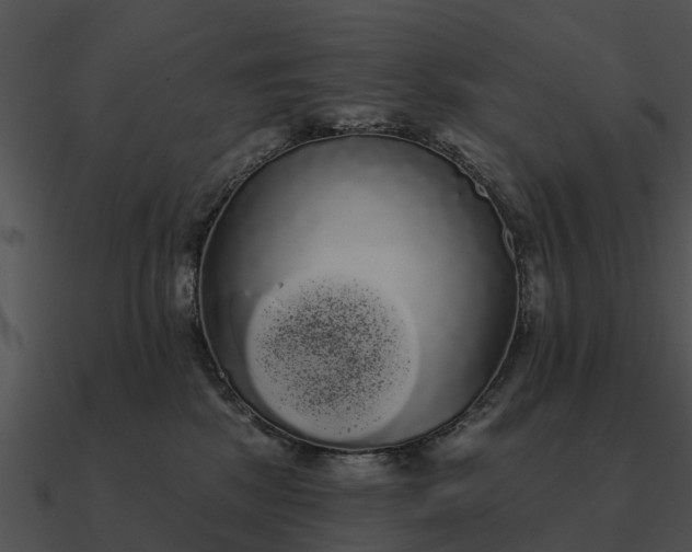 X0000090710281200708031439