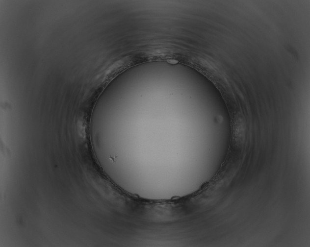 X0000090710282200708031439