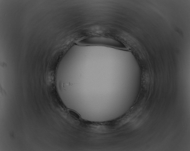 X0000090710284200708031439