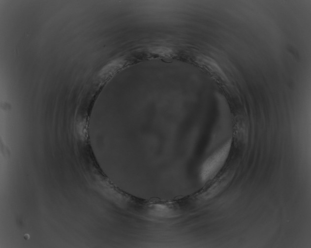 X0000090710285200708031439