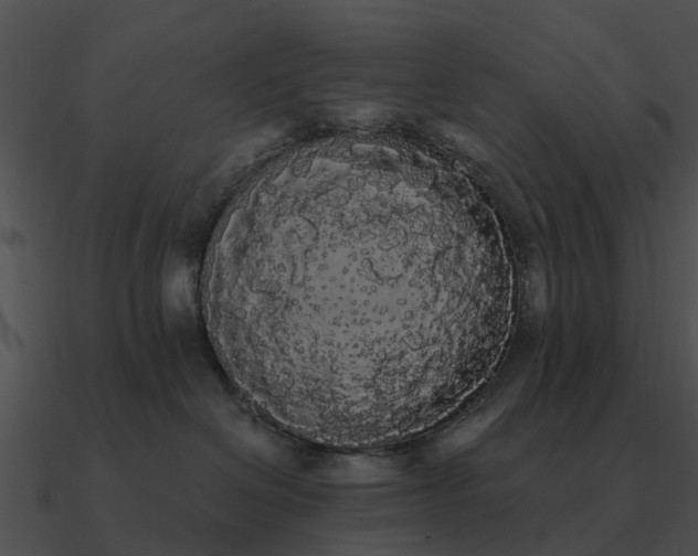 X0000090710286200708031439