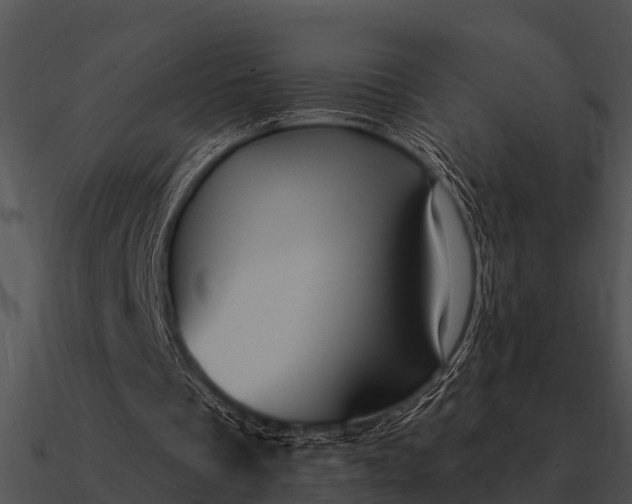 X0000090710289200708031439