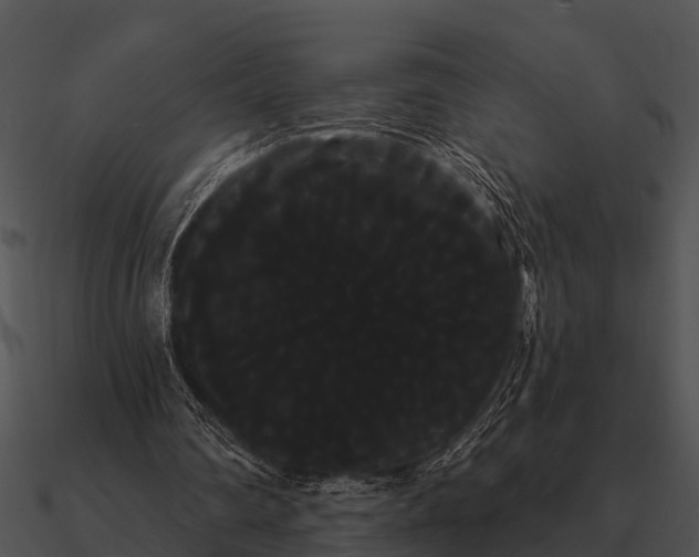 X0000090710290200708031439