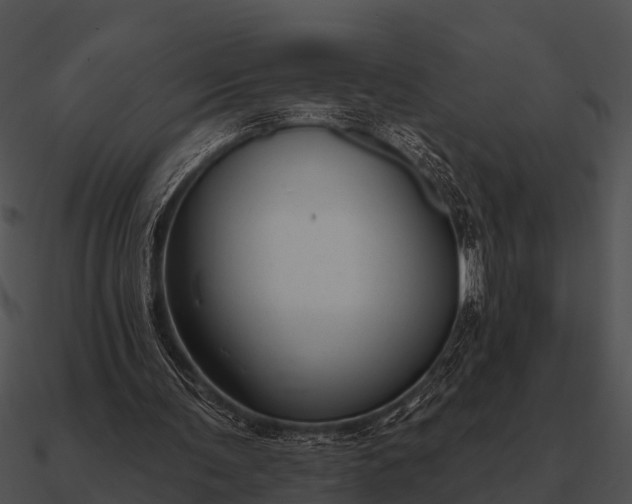 X0000090710291200708031439