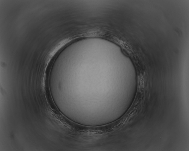 X0000090710292200708031439