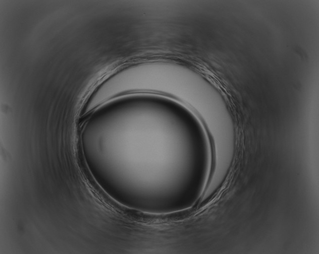 X0000090710293200708031439