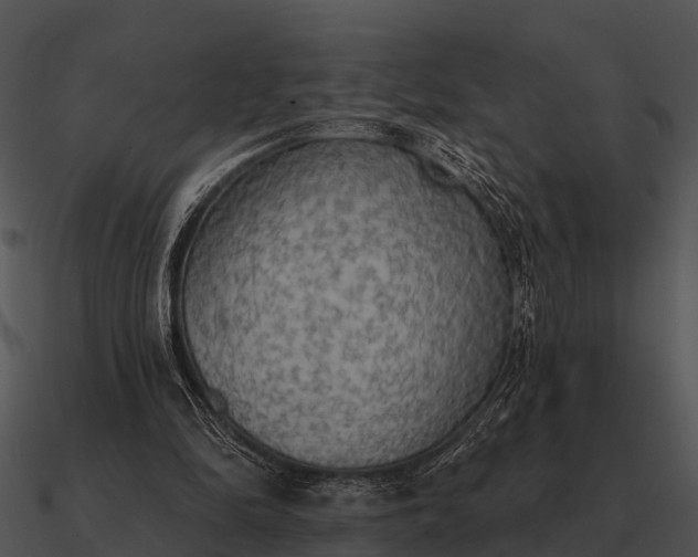 X0000090710294200708031439