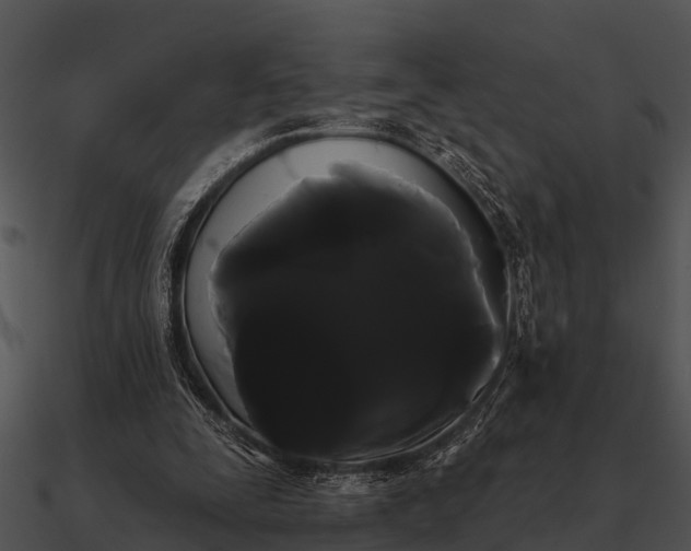 X0000090710295200708031438