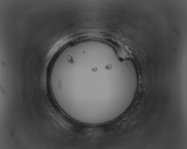 X0000090710296200708031438