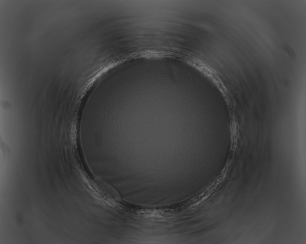 X0000090710297200708031438