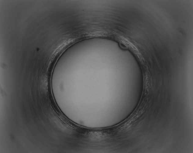 X0000090710298200708031438