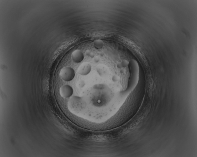 X0000090710299200708031438