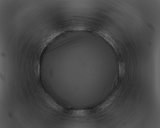 X0000090710301200708031438