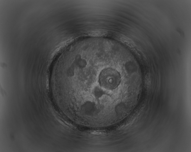 X0000090710303200708031438