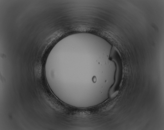 X0000090710304200708031438