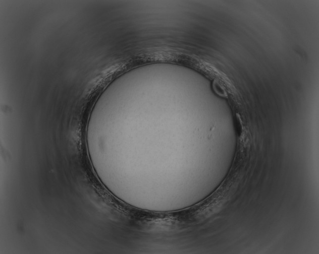 X0000090710306200708031438