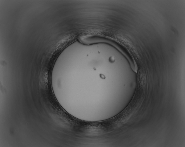 X0000090710308200708031438