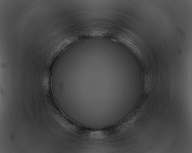 X0000090710309200708031438