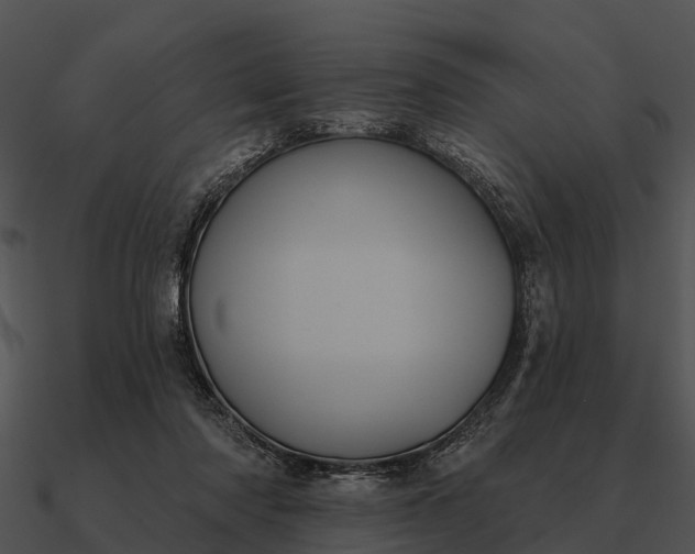 X0000090710310200708031438