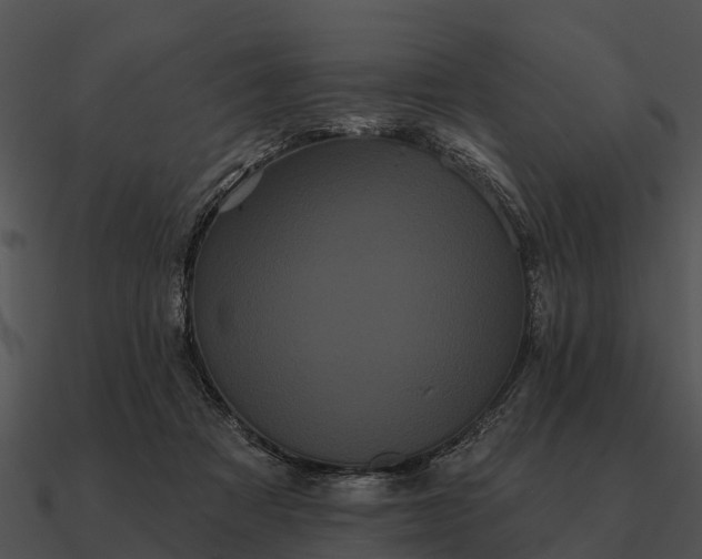 X0000090710313200708031438