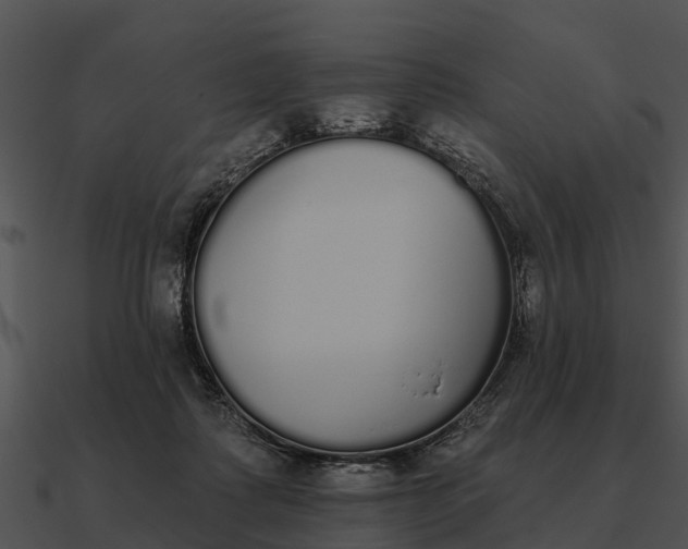 X0000090710315200708031438