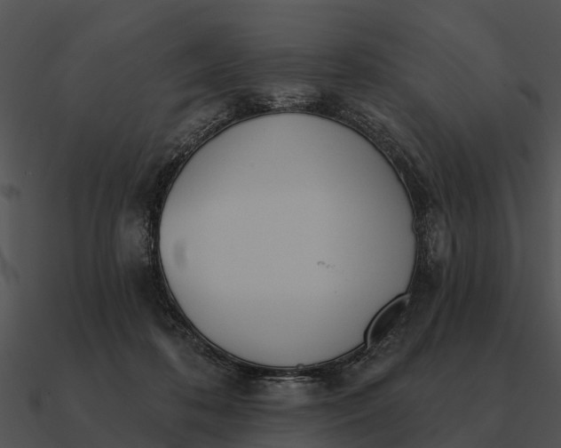 X0000090710316200708031438