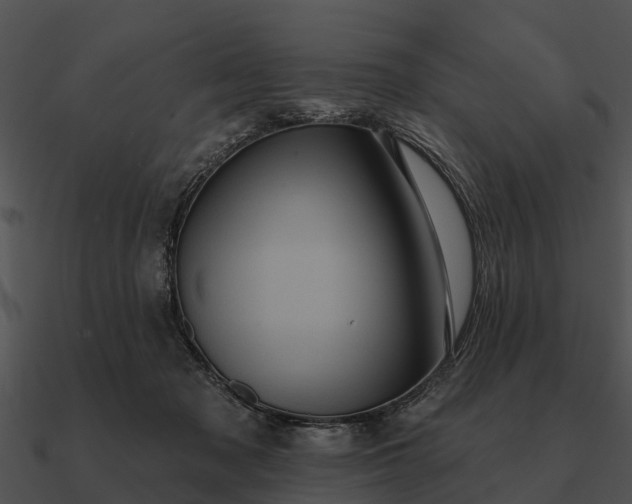 X0000090710317200708031438